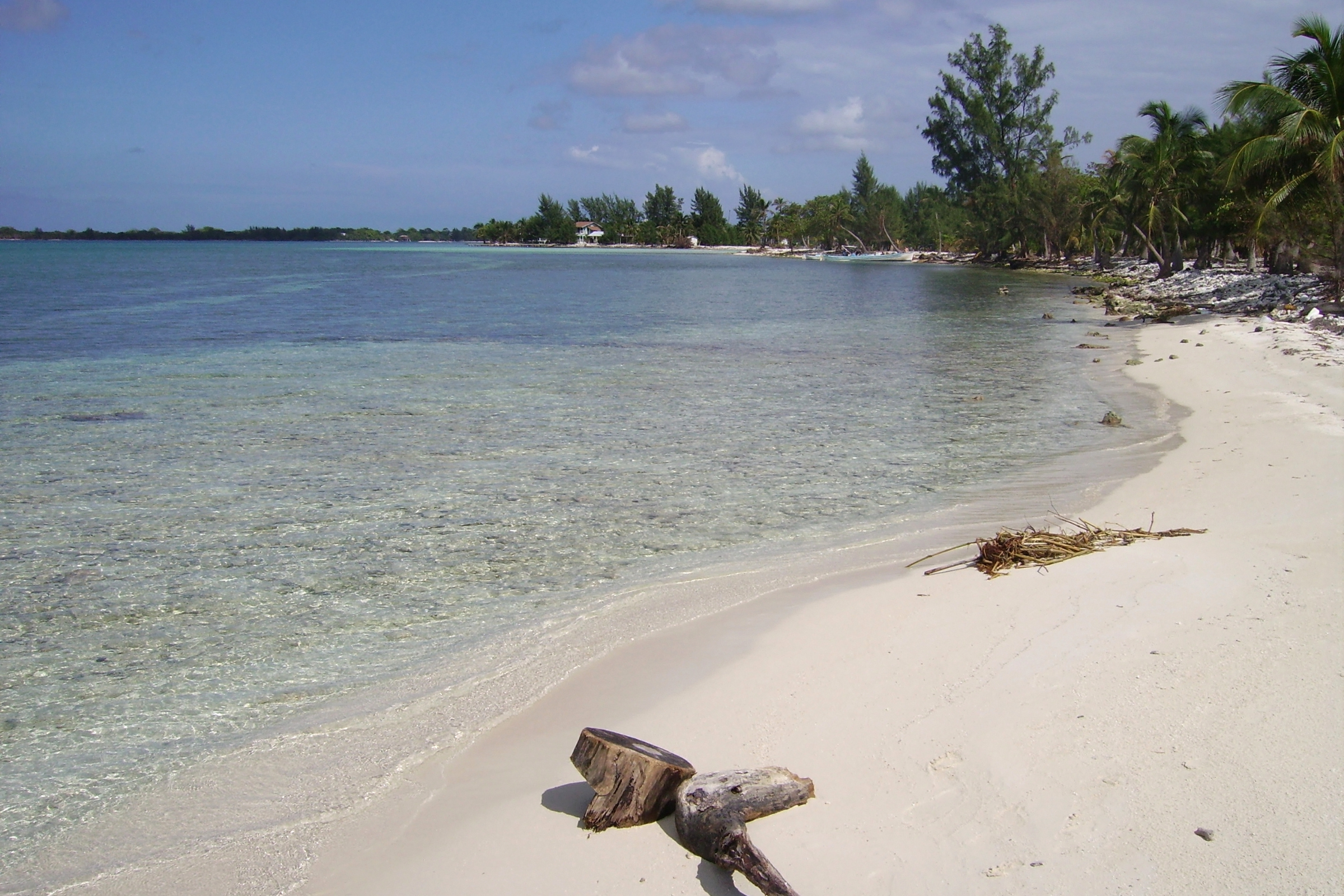 water caye, isla utila.webp